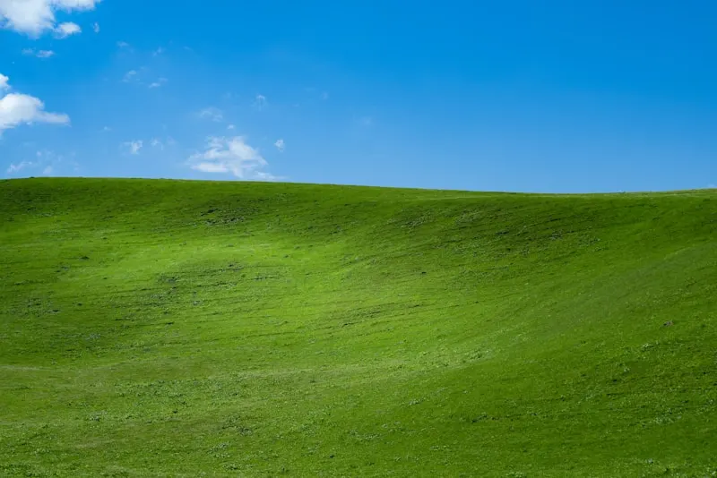 Jinyintan Grassland