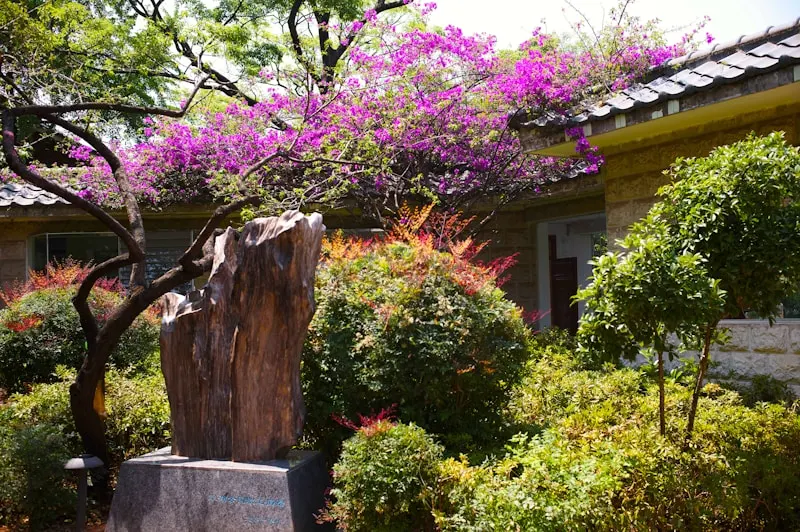 Cuihu Park