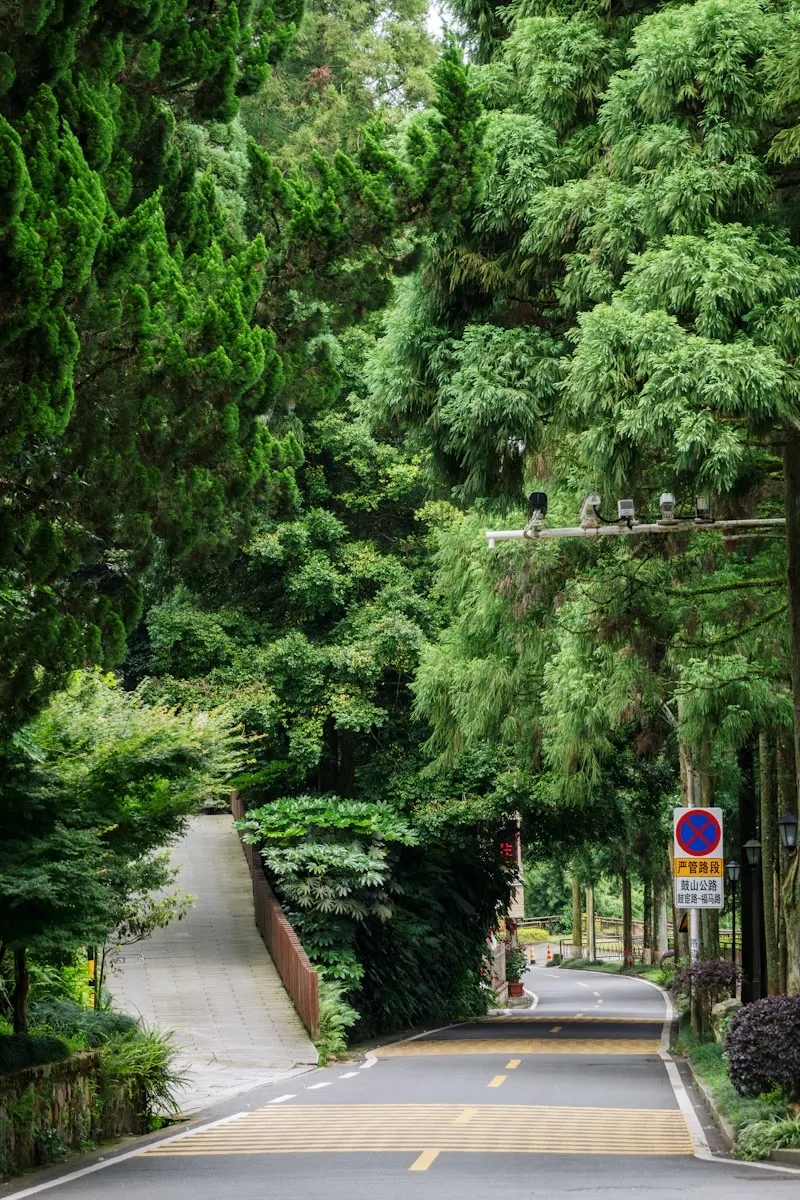 Fuzhou National Forest Park