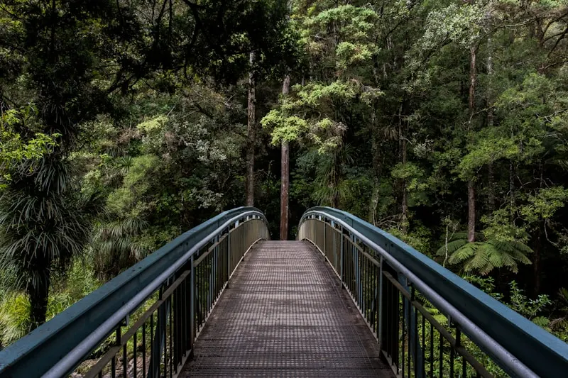 Arxan National Forest Park