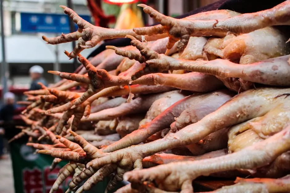 Guangzhou Food