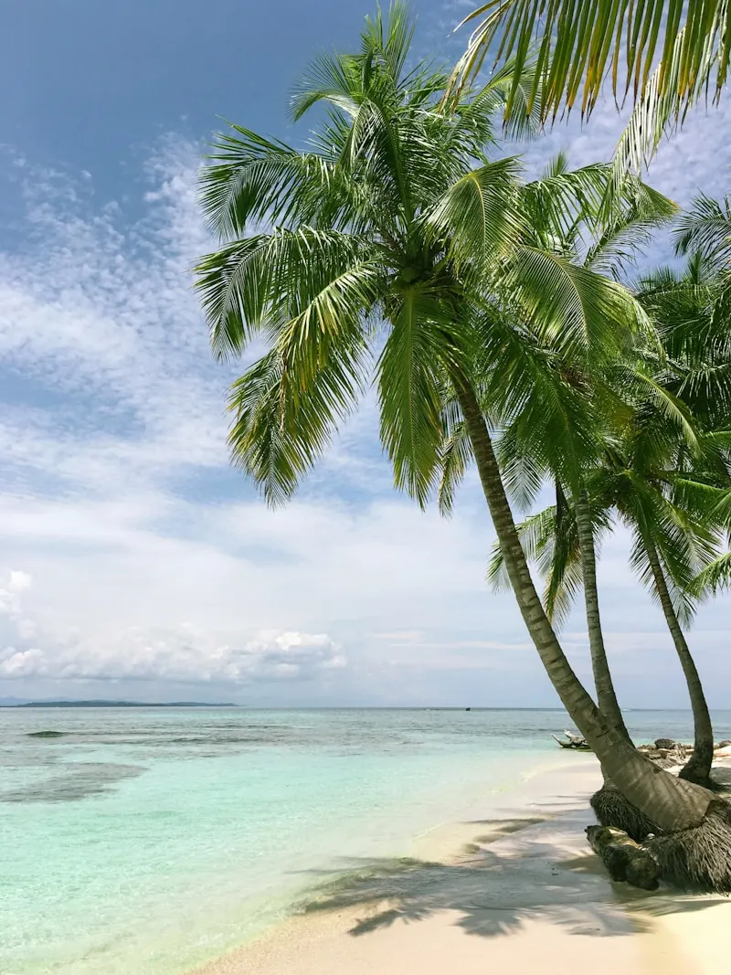 International Bathing Beach