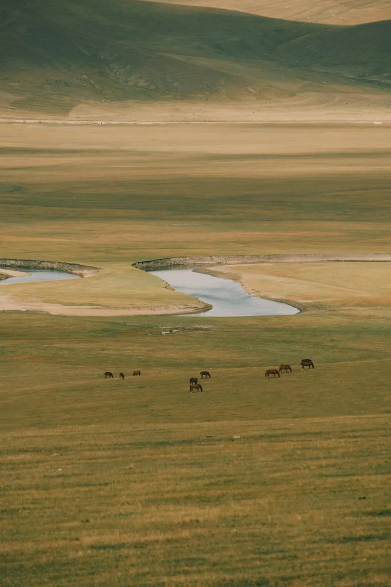 Hulunbuir Grand Grassland