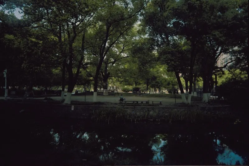 Zhongshan Park