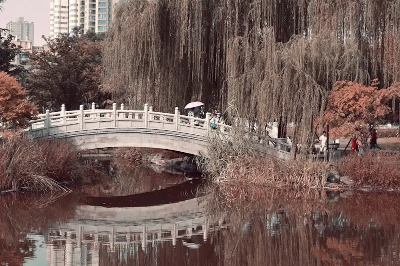 Zhalantun Suspension Bridge Park