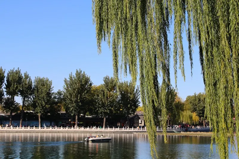 Nanjing Dapaidang