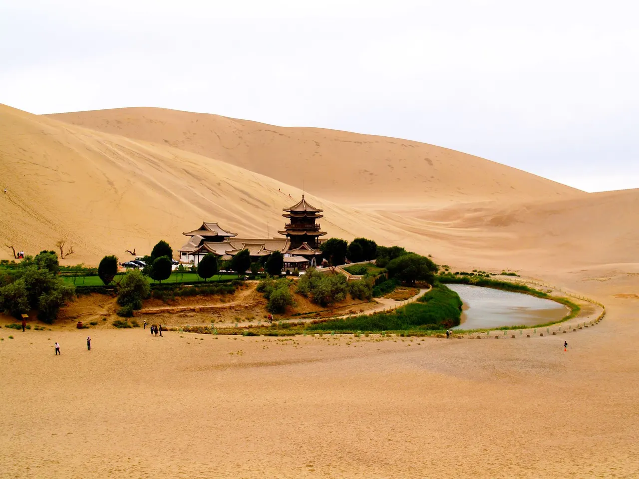黄面