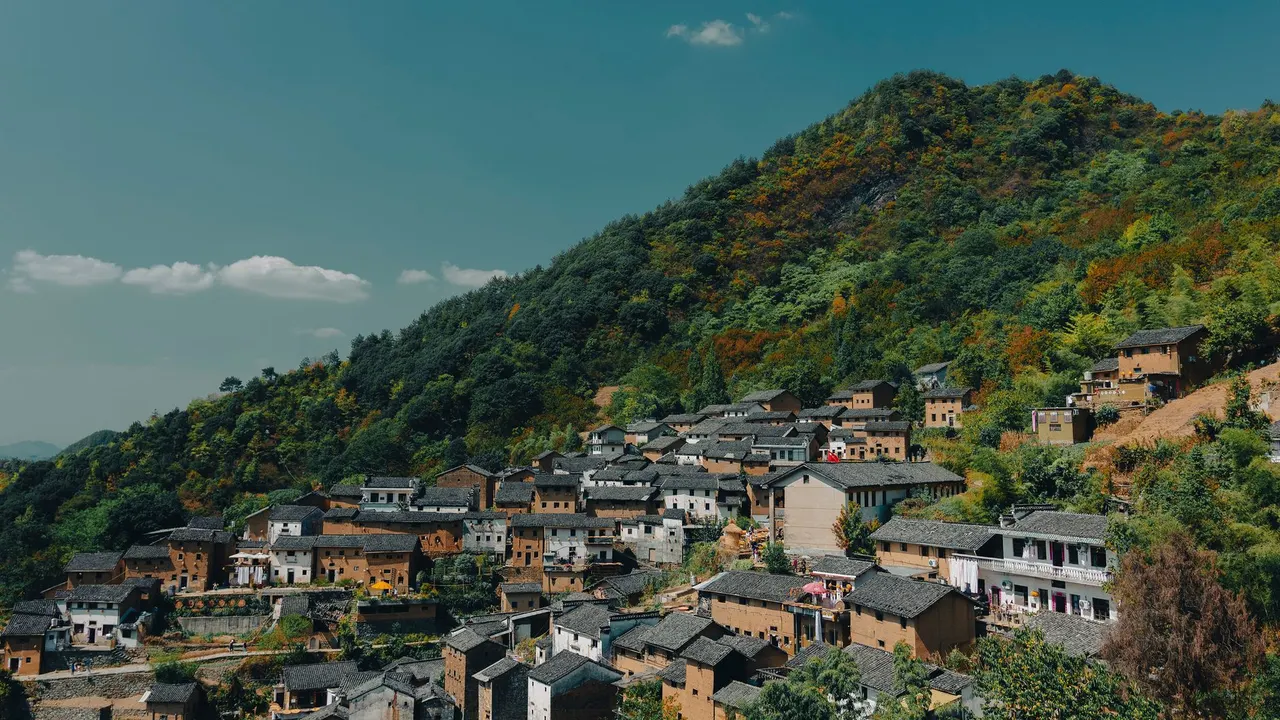 岩耳炖鸡