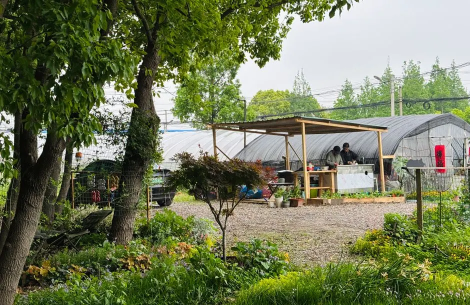 Shanghai Greenhouse Garden